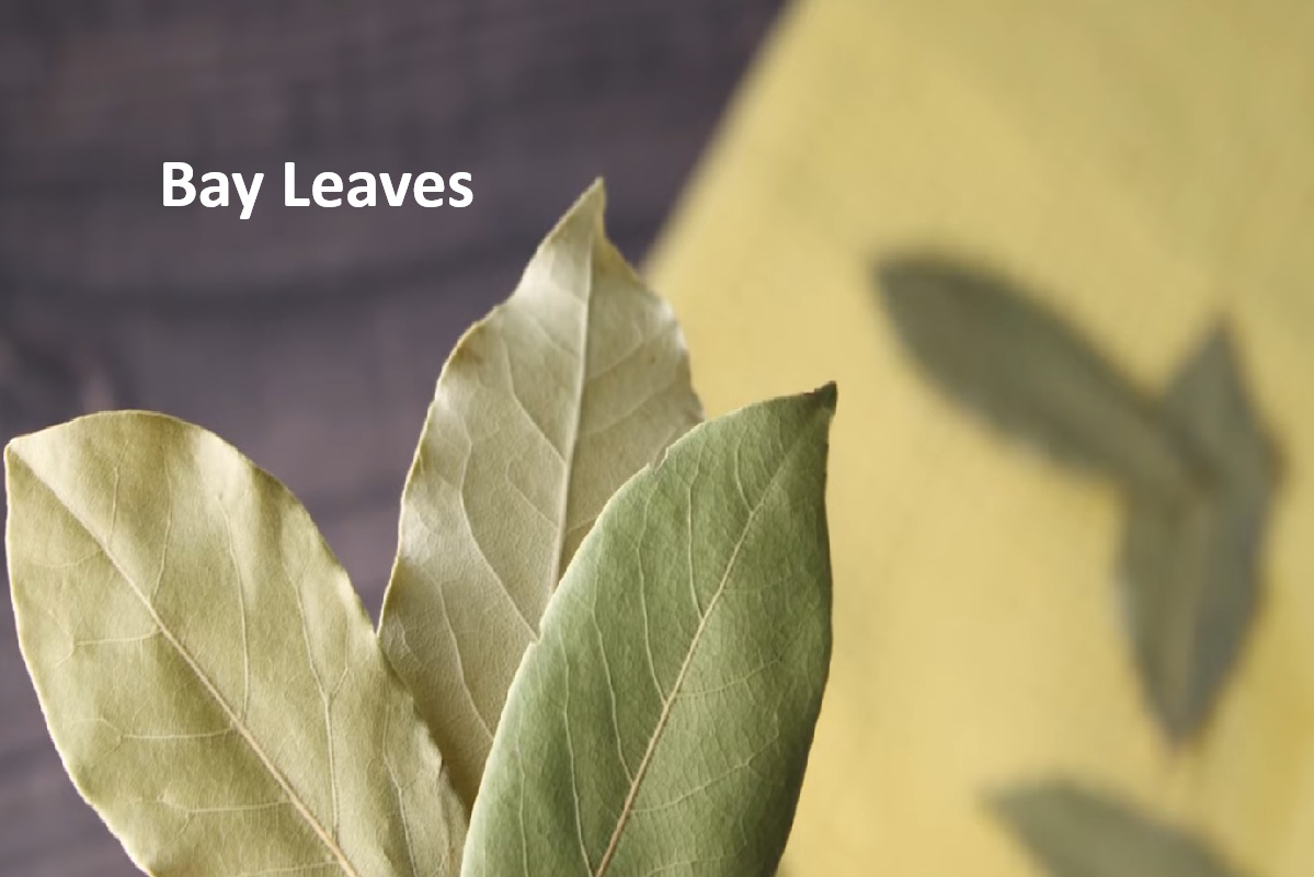 Bay Leaves: Slow-Cooked Flavor, Eugenol, and How to Use Them