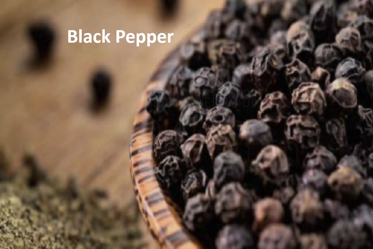 Black Pepper: Piperine, Absorption, and Why It Pairs with Turmeric