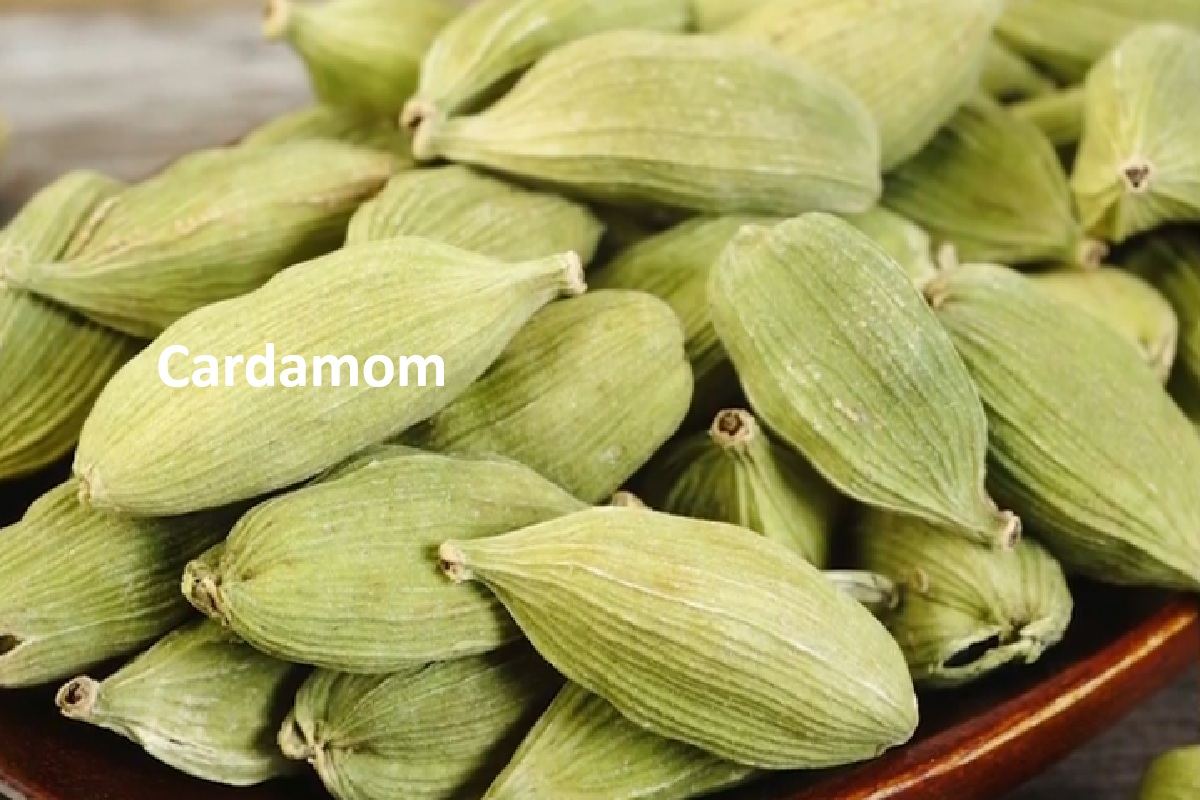 Cardamom: Heart Health, Digestion, and How to Use It