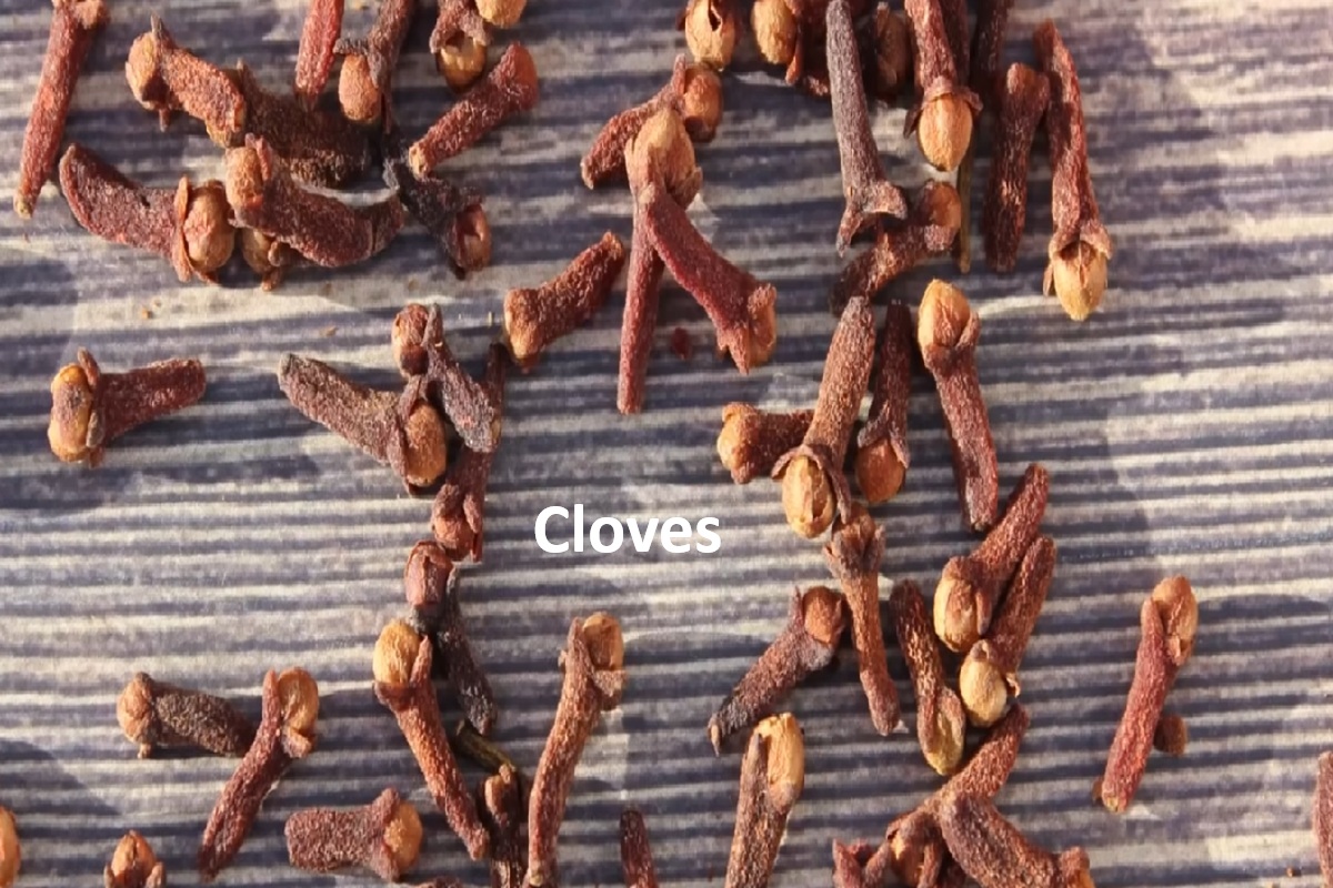 Cloves: The Highest-Antioxidant Spice and How to Use It