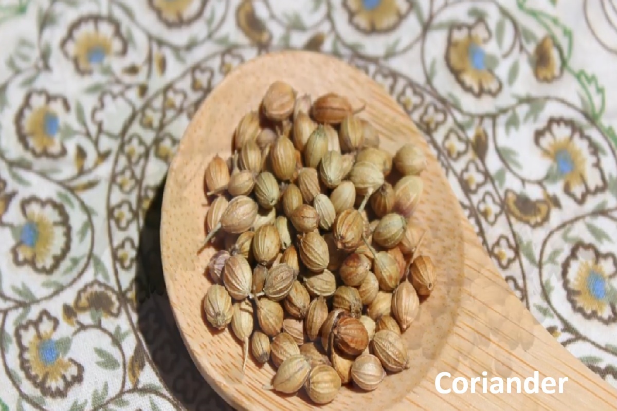 Coriander: Seeds vs Cilantro, Antioxidants, and How to Use Them