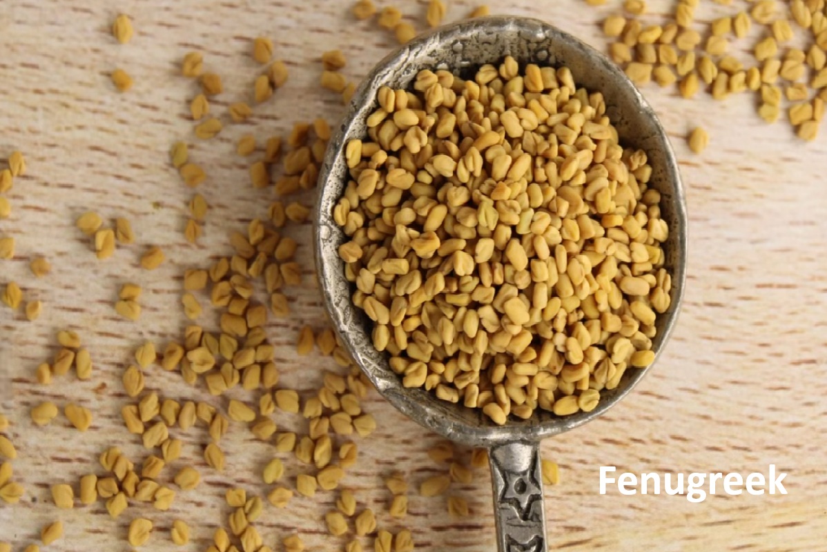 Fenugreek: Blood Sugar, Breast Milk, and How to Use the Seeds