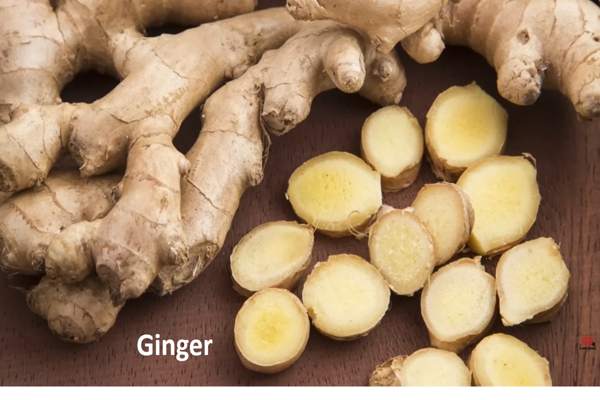 Ginger: Benefits for Nausea, Inflammation, and Cooking